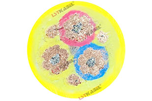 鏟運機電纜 鏟運機電纜